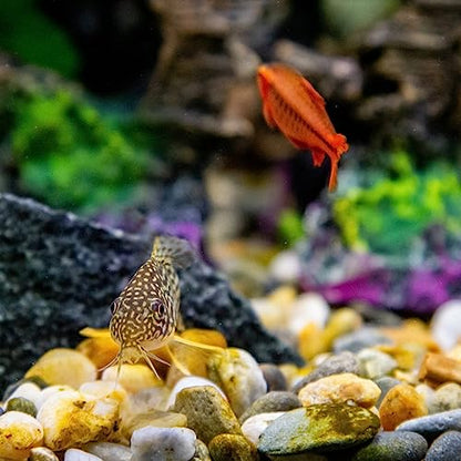 2lbs Aquarium Rocks, 5/8" Natural Mixed Pebbles for Plants | Decorative Polished River Rocks for Fish Tank, Landscaping, Gardening, Flower Pots, Vase Fillers, Indoor Water Fountains - size: 5/8 Inch