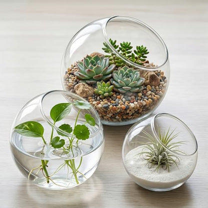 3 Pack Glass Terrarium Containers, Slanted Bowl Air Plant Holder Set | Small Clear Round Succulent Planter Globe for Micro Landscape, Candle Decor