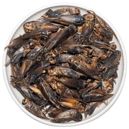 Freeze Dried Crickets – 4.5 Oz High Protein Freeze Dried Crickets, Food for Reptiles, Bearded Dragons, Lizards, Geckos, Birds, Fish,Hedgehogs, Bearded Dragon Food