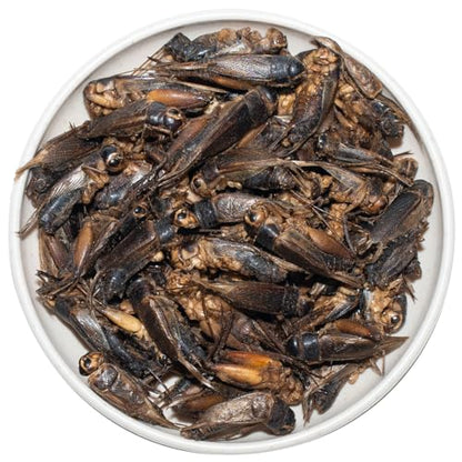 Freeze Dried Crickets – 4.5 Oz High Protein Freeze Dried Crickets, Food for Reptiles, Bearded Dragons, Lizards, Geckos, Birds, Fish,Hedgehogs, Bearded Dragon Food
