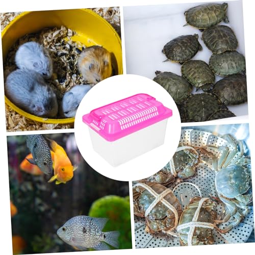 POPETPOP Portable Reptile Habitat Box Handheld Fish Tank for Goldfish Turtles Transparent Design Easy to Ventilated Container for Pet Travel