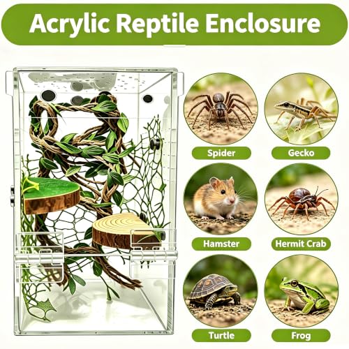 Jumping Spider Enclosure, Acrylic Arboreal Terrarium with Accessories, Magnetic Escape Proof Habitat for Praying Mantis, Tarantula, Gecko, Frog, Snail, Bug & Small Insects