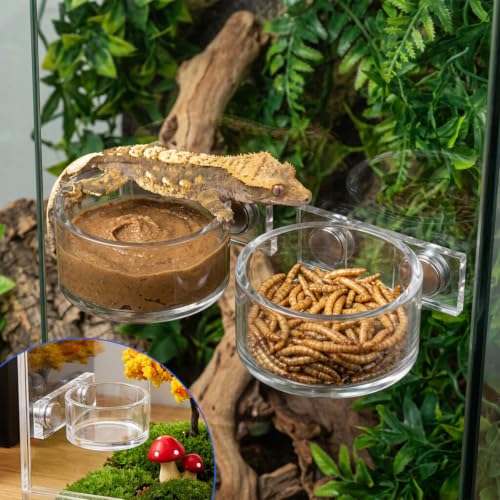 Jumping Spider Feeding Dish Set, Water Bowl with Tweezer, Reptile Feeding Dish Tongs, Water Dispenser Enclosure Jumping Spider Accessories