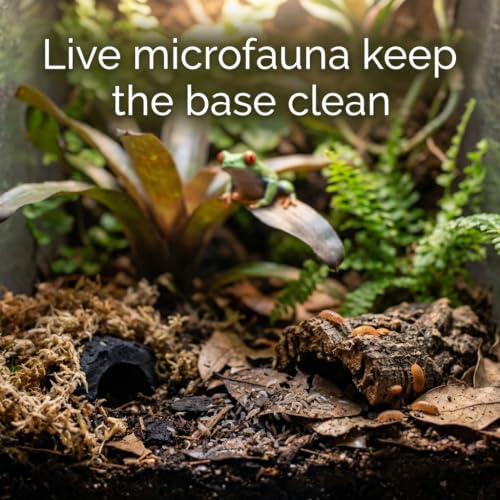 Tree Frog Bioactive Kit - 17qt Premium Bioactive Substrate + 2qt Leaf Litter + 4qt Sphagnum + Charcoal Iso-Flats Hide + 3oz Calcium + 25 Powder Orange Isopods + 8oz Tropical Springtails