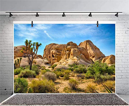 Leyiyi 5x3ft Joshua Tree National Park Photography Backdrop Western Sky Desert Cowboy Weathering Rock Drought-Tolerant Plant Cactus Terrarium Background Aquarium Wallpaper Polyester Photo Studio Prop - color: Desert3, size: 5x3ft-P