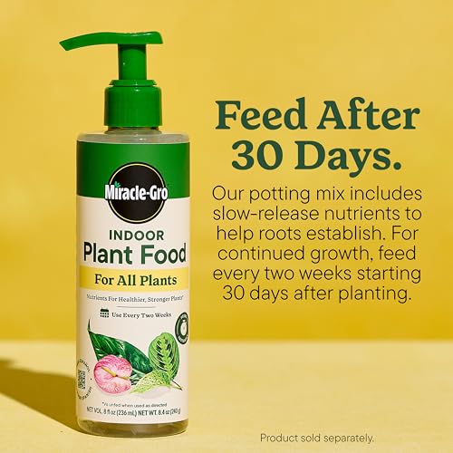 Miracle-Gro Indoor Potting Mix for All Plants, 6 qt., 2-Pack | Use with Houseplants and More, Feeds for up to 6 Months - size: 6 qt (2-Pack), style: 6 QT