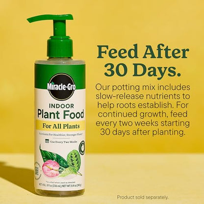 Miracle-Gro Indoor Potting Mix for All Plants, 6 qt., 2-Pack | Use with Houseplants and More, Feeds for up to 6 Months - size: 6 qt (2-Pack), style: 6 QT