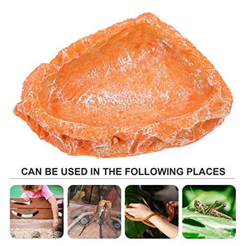 POPETPOP Tortoise Feeding Basin Reptile Food and Water Dish for Tortoises Lizards and Snakes Bright Easy to Clean for Terrarium Use