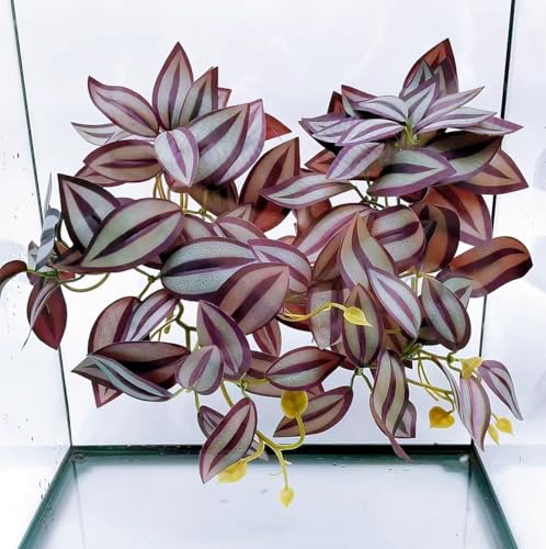 Reptile Plants for Terrarium, Reptile Tank Decor,Artificial Plants | Fake Plants for Ball Python Gecko Snake,Hanging Plant with Suction Cup ,Amphibian Habitat Decor-2 pack(Purple) - color: Zebrina