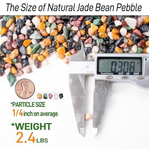 CJGQ 2.4lb Aquarium Gravel for Plants, 1/4Inch Fish Tank Gravel for Succulent Cactus and Bonsai, Decorative River Rocks Pebbles for Gardening, Flower Pots, Landscaping,Terrarium - color: Mixed Pebble, size: 2.4lb