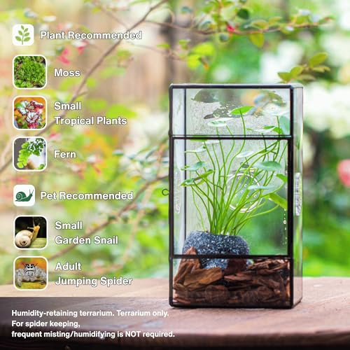NCYP Glass Enclosure for Large Jumping Spider - 5.1" x 3.9" x 9" Front Opening Door Glass Terrarium with 3 Vent Holes, Small Snail, Insects Habitat, Black (Terrarium Only)