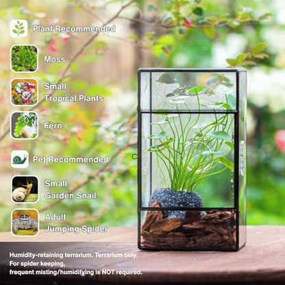 NCYP Glass Enclosure for Large Jumping Spider - 5.1" x 3.9" x 9" Front Opening Door Glass Terrarium with 3 Vent Holes, Small Snail, Insects Habitat, Black (Terrarium Only)