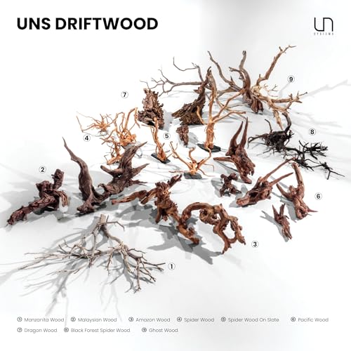 Ultum Nature Systems Driftwood - Malaysian Drift Wood for Fish Tank, Planted Tank, Terriarium, Paludarium - Versatile Natural Driftwood Decor, Events Wood Centerpiece - Malaysian, Medium (12-16") - size: 12-16" 1-Pack