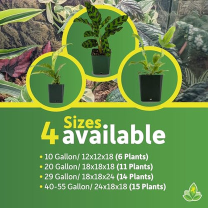 Josh's Frogs 29 Gallon Tropical Vivarium Plant Kit - size: 29 Gallon