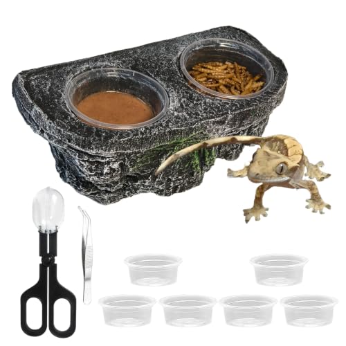 Tfwadmx Magnetic Reptile Feeder Ledge, Gecko Feeder Ledge with 6 Cups Reptile Feeding Bowls Food Dish Water Bowl Tank Accessories for Lizards Chameleons Frog(Grey) - color: Grey