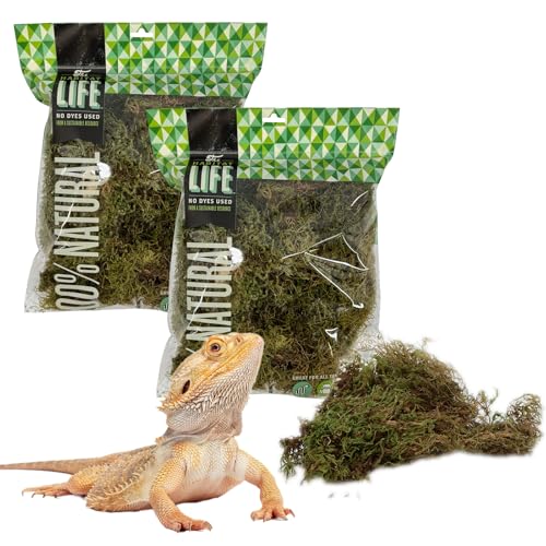 Deco Moss for Terrarium Habitats, Medium 2-Pack | Preserved Moss for Reptiles, Amphibians & Invertebrates Terrariums, Humidity Control, Soft, Dye-Free, Family Owned, USA Made - size: Medium 2-pack, style: Deco Moss