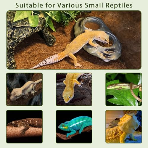 Tfwadmx Magnetic Reptile Feeder Ledge, Gecko Feeder Ledge with 4 Cups Reptile Feeding Bowl Terrarium Accessories for Geckos Lizards Chameleons Frog (White) - color: White
