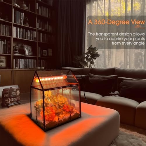 RIFNY Plant Terrarium with Grow Light, Glass Terrarium 7.1 x 4.8 x 8.8 Inch | Terrarium with LED Grow Light and Absorbent Mat for Venus Fly Trap Succulent Live Air Plants Indoor Home Office Decor - size: Black-Small with Plant Light