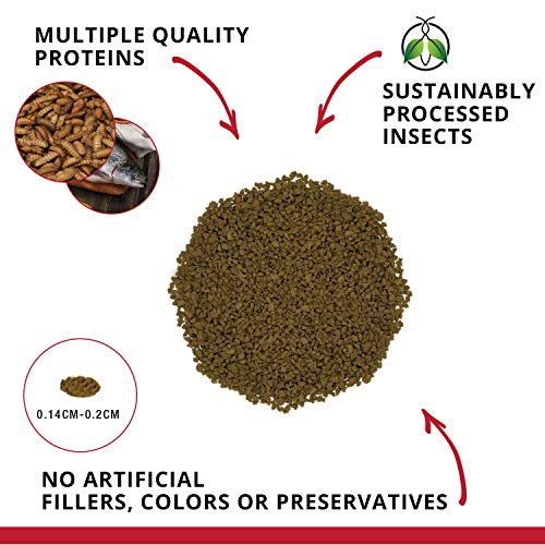 Fluval Bug Bites Cichlid Fish Food, Granules for Small to Medium Sized Fish, 1.59 oz., A6580 | Granules for Small to Medium Sized Fish - size: 1.6 Ounce (Pack of 1)
