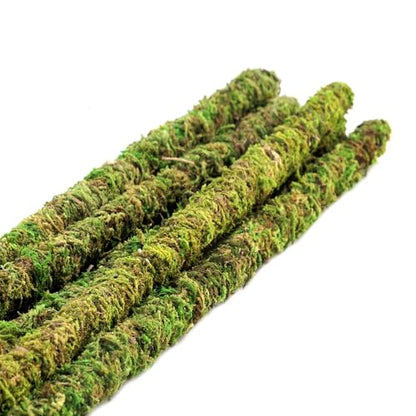 Galápagos (05322) Mossy Terrarium Sticks (6 Pack), 32" - size: 32"