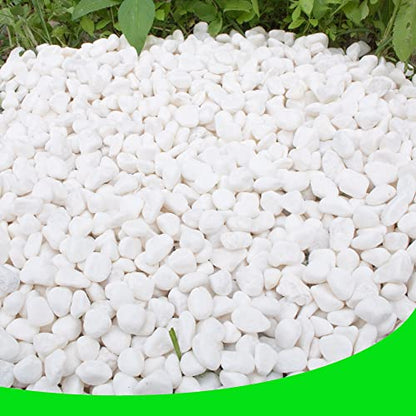 White Pebbles for Plants Garden Vases 7 lb White Rocks Gravel Decorative Stone 1/2" - size: 7LB, style: White