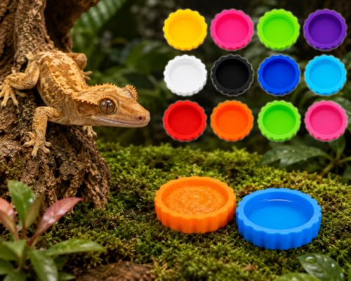 12pc Multicolor Crested Gecko Food & Water Feeding Cups, Small Pet Dish Set