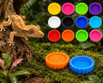 12pc Multicolor Crested Gecko Food & Water Feeding Cups, Small Pet Dish Set