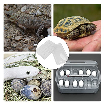 POPETPOP Hatching Box for Reptiles Lightweight Incubation Container for Snakes Lizards and Geckos Transparent Design for Visibility Safe Plastic Material for Growth
