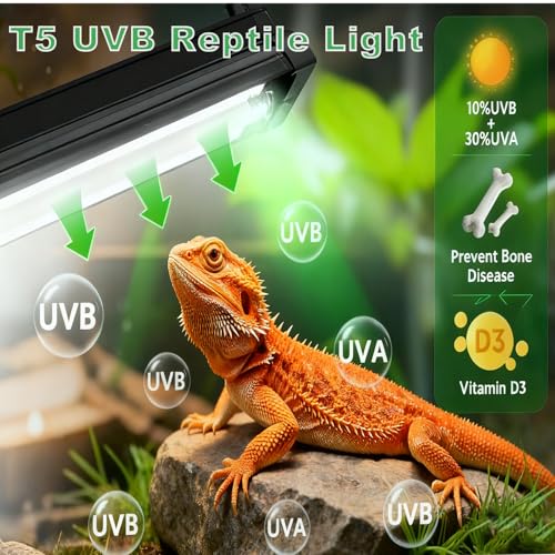 T5 HO UVB Lighting Kit, 15W Terrarium Hood with Detachable Curved Reflector, Desert 10.0 UVB T5 Lamp (15 Watts) - size: 15 Watts