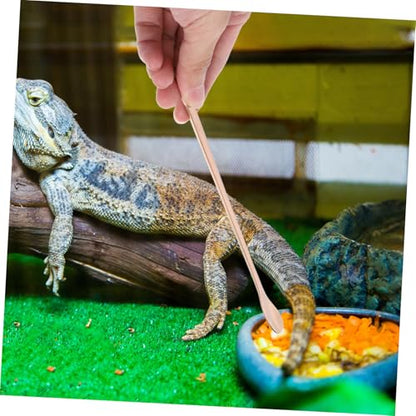 2pcs Reptile Food Spoon Long Handle Feeding Tool for Lizards and Small Pets Stainless Steel Design for Easy Feeding and Convenience - color: Golden