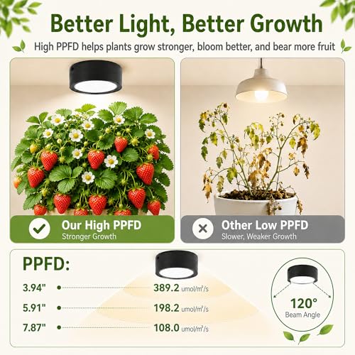 3-Pack Rechargeable Grow Lights for Indoor Plants, Cordless Plant Grow Lamp