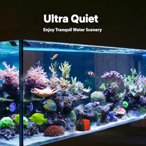 DOKO 480GPH Submersible Water Fountain Pump for Pond, Aquarium, Hydroponic | 1800L/H 35W Ultra Quiet Water Pump with 8.2ft Lift Height, 6FT Power Cord and 3 Nozzles for Fish Tank & Statuary - size: 35W 480GPH