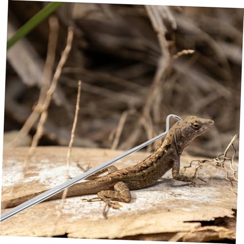 Stainless Steel Retractable Reptile Hook Professional Snake Catcher Tool for Safe Handling of Reptiles Lightweight and Portable for Snake Enthusiasts and Outdoor Adventures