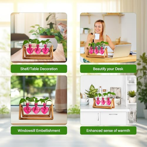 XXXFLOWER Plant Terrarium Propagation Stations 3 Heart Shaped Vases | Unique Terrarium Jar Gifts for Women Wife Mom Plant Lovers, Hydroponics, Home Garden Office Decor - size: 3 Heart Vase