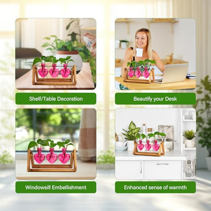 XXXFLOWER Plant Terrarium Propagation Stations 3 Heart Shaped Vases | Unique Terrarium Jar Gifts for Women Wife Mom Plant Lovers, Hydroponics, Home Garden Office Decor - size: 3 Heart Vase