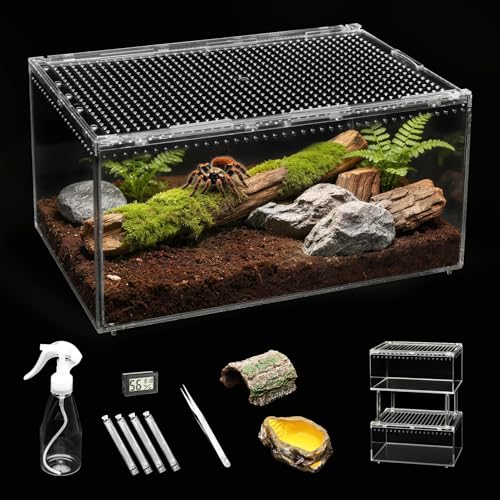 Large Reptile Tank PC Starter Kit,Escape Proof Tarantula Enclosure | Hermit Crab Habitat,Spider Terrarium for Isopods Cage,Insect House, Small Pac-Man Frog Cribs,Bug Container,Beetle Vivarium - size: Large(11.8x7.8x5.9inch)