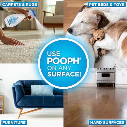 POOPH Plus Maximum Strength Pet Odor Eliminator Spray, 32 oz | Maximum-strength odor eliminator spray on carpets, furniture, litter boxes, and hard floors, 32 oz - size: 32 Ounce (Pack of 1)