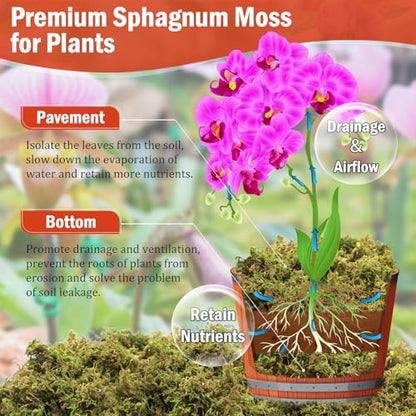 Riare 3.88OZ Premium Sphagnum Moss for Plants- 4QT Natural Dried Plant Moss | Moisture Retention & Drainage Orchid Moss for Repotting, Succulents, Carnivorous, Ferns, Green Moss for DIY Craft, Reptiles - size: 4 QT(Appx.3.88oz)