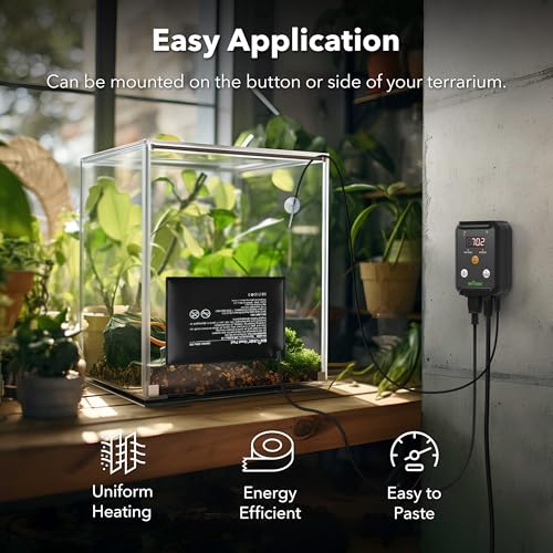 BN-LINK Durable Reptile Heating Pad 6" X 8" with Digital Thermostat Under Tank Heater Terrarium Warmer Combo Set for Turtles, Lizards, Frogs, and Other Reptiles - size: 6" X 8" with Thermostat