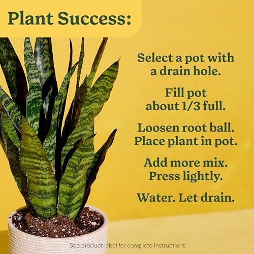 Miracle-Gro Indoor Potting Mix for All Plants, 6 qt., 2-Pack | Use with Houseplants and More, Feeds for up to 6 Months - size: 6 qt (2-Pack), style: 6 QT