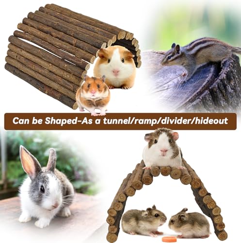kathson Wooden Hamster Bridge,Guinea Pig Wood Ladder Bendable Tunnel Hideout Hut Small Animal Climbing Toys for Ferret Hedgehog Chinchilla Mice Rat Gerbil Baby Rabbit(15.7 x 6.0 in) - size: M (15.7 x 6.0 inches)