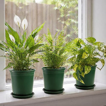 Fasmov 10PCS 1 Gallon Durable Nursery Pot Garden Flower Pots Nursery Plant Container Kit with 10 Pcs Matching Pallets - color: Green