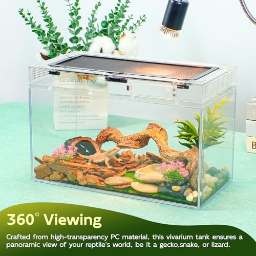 16×10×8'' Reptile Terrarium Kit with Heat Lamp & Hideout for Geckos, Snakes | Complete kit includes spray bottle, shovel, tweezers, food bowl, hideout; ideal for lizards, turtles, spiders, frogs, crabs