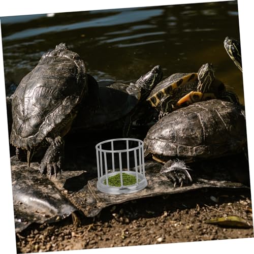 UPKOCH Material Use Compact Design Tortoise Food Pellets Reptile Amphibian Food