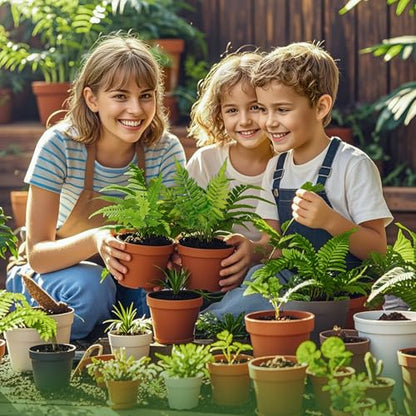 Doter Potting Soil Mix for Fern 2qt, Custom Hand Blended Mixture Suitable for Indoor/Outdoor Potted Fern Plant - size: 2qt