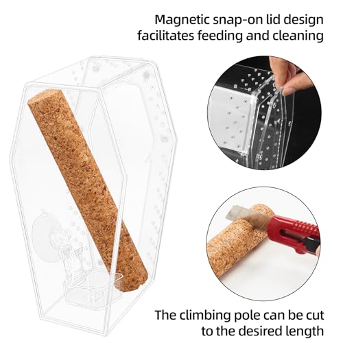 Jumping Spider Enclosure, Magnetic Door Acrylic Terrarium with Feeding Dish & Landscape Stick for Tarantula Snails Insects Reptiles Plants, Coffin Shape Tabletop Decor 4" x 4" x 8"