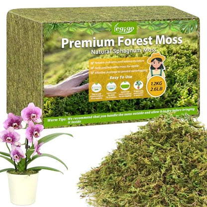 2.6LB Sphagnum Moss for Plants, 50QT Natural Long Fiber Orchid Moss | Drainage & Moisture Retention, Green Plant Moss for Orchid Repotting, Carnivorous, Succulents, Reptile Bedding & Terrariums - size: 2.6LB