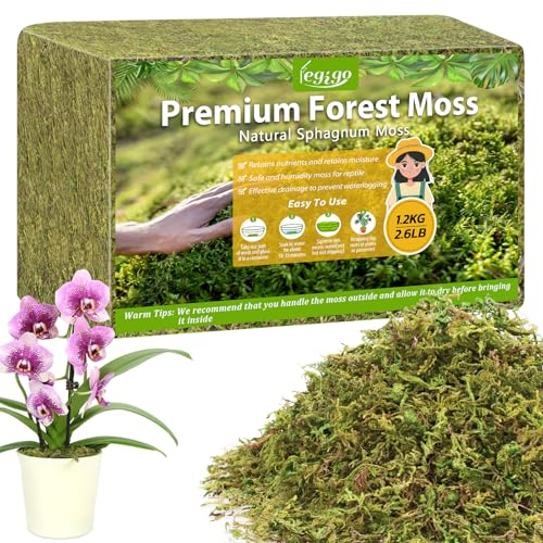 2.6LB Sphagnum Moss for Plants, 50QT Natural Long Fiber Orchid Moss | Drainage & Moisture Retention, Green Plant Moss for Orchid Repotting, Carnivorous, Succulents, Reptile Bedding & Terrariums - size: 2.6LB