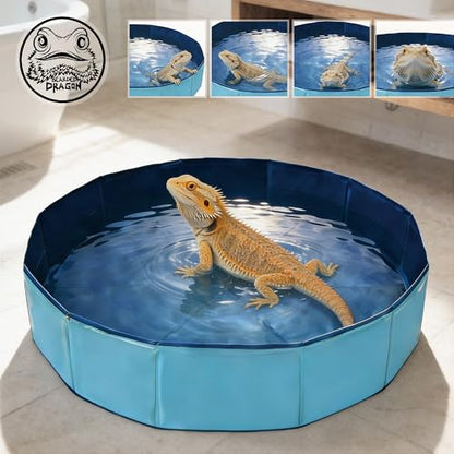 Foldable Pet Bath Pool, Collapsible Dog Bath Tub for Large & Small Dogs, Cats, Bearded Dragon, Portable Outdoor Swimming Pool for Camping, Washing Vegetables (Small Animal - Blue)