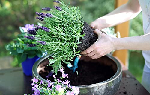 Premium Moisture Control Potting Mix - Get The Perfect Balance of Moisture and Nutrients for Your Plants! - 1 Quart - color: MOISTURE CONTROL MIX, size: 1 Quart